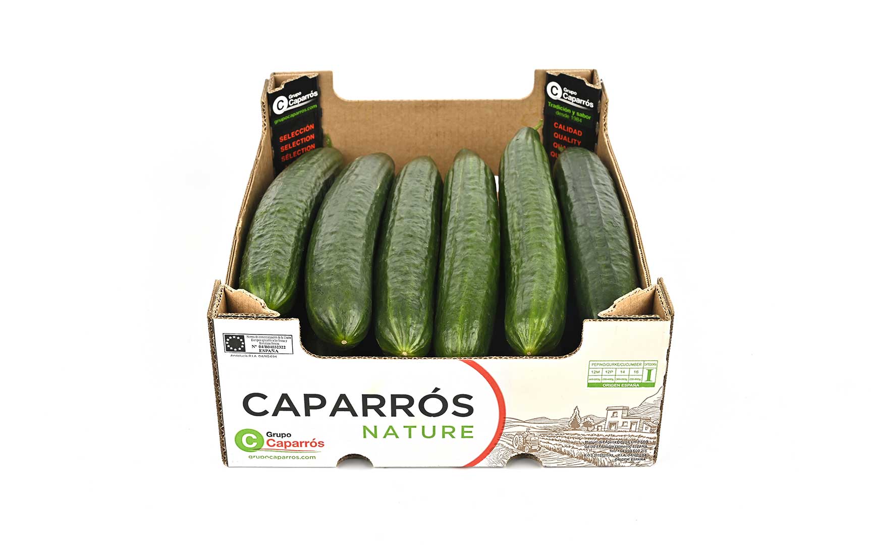 Almería cucumber - Caparrós