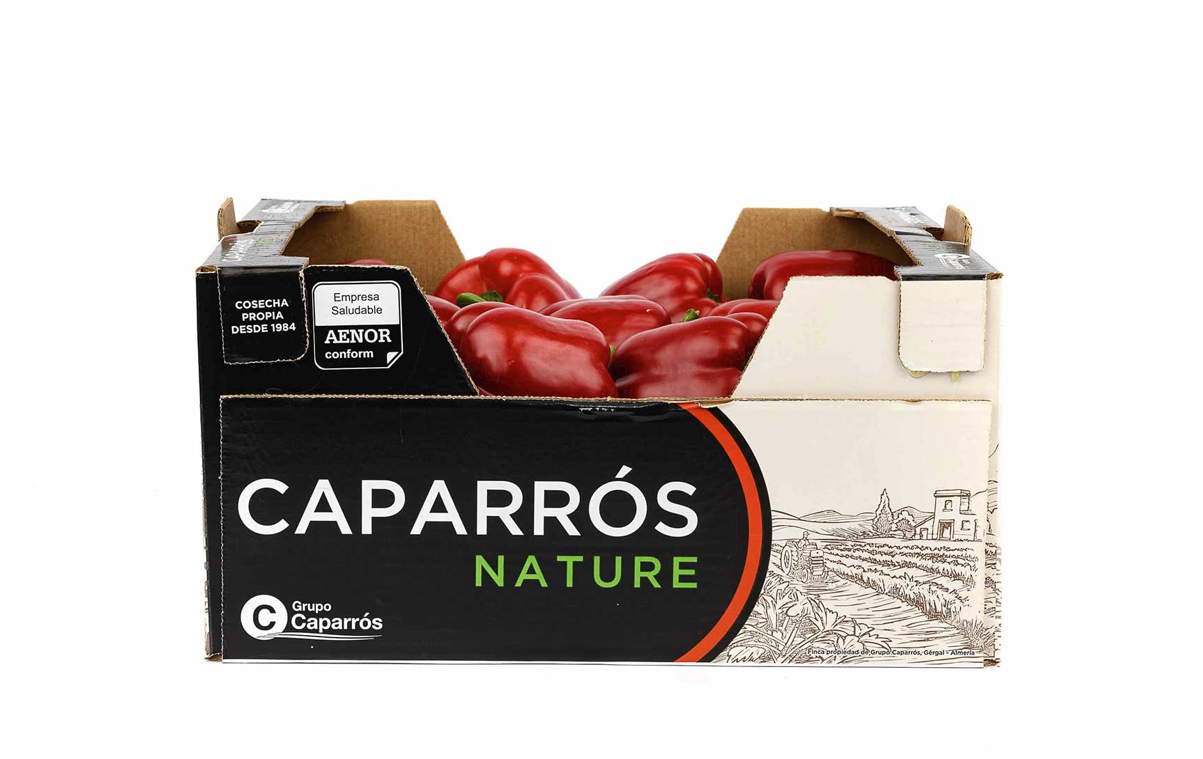 Red california pepper - Caparrós
